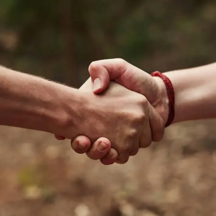 Committed - Handshake in partnership