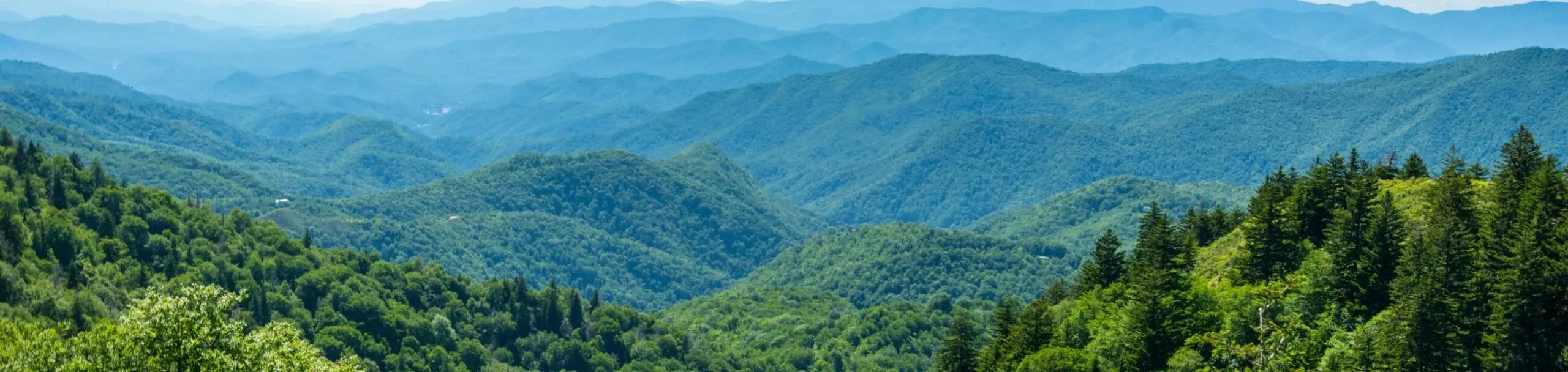 Lush green mountain ridges