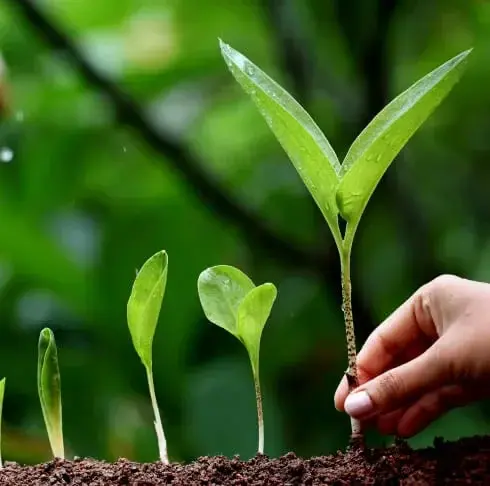 2019 — Few ESG engagements and knowledge partnerships