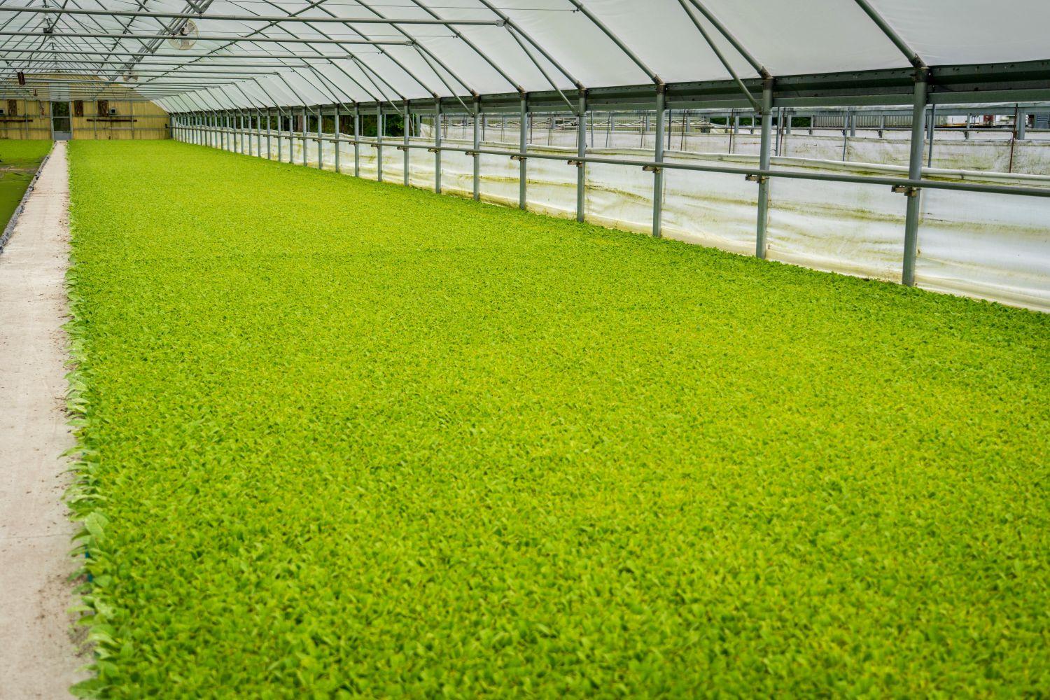 GHG Protocols Made Easy to Follow