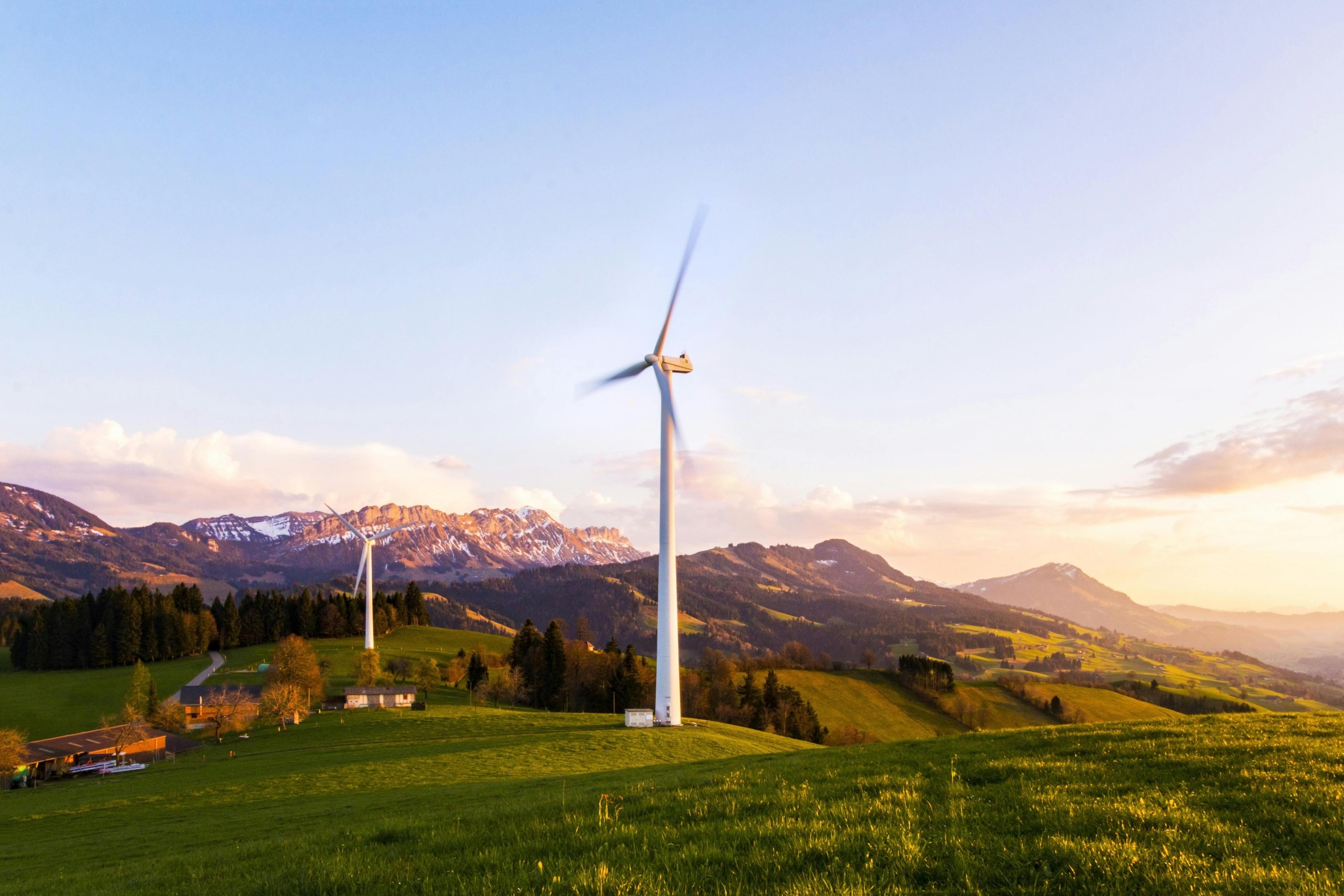 Difference between Net Zero and Carbon Neutrality