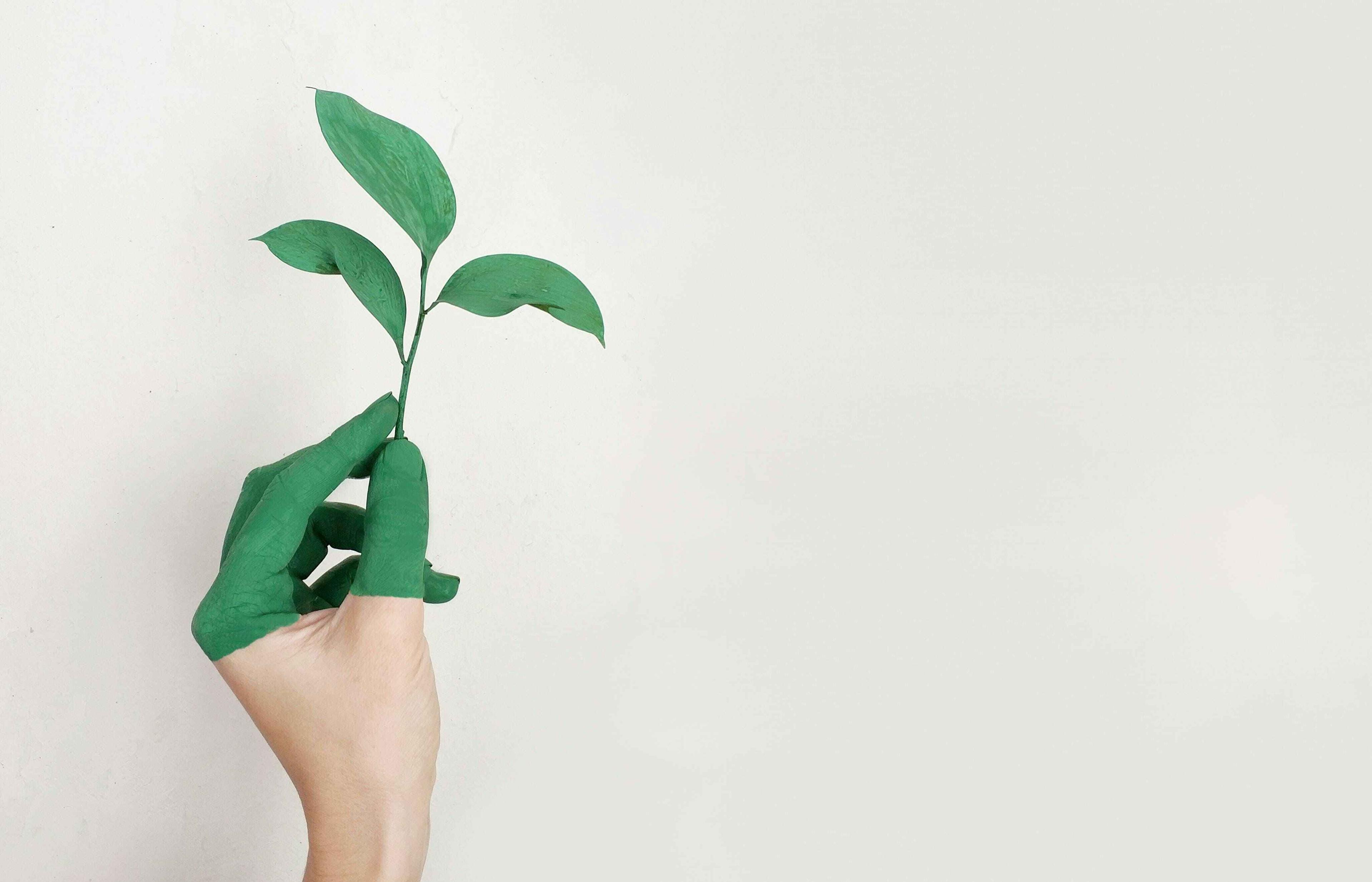 CCPA’s Greenwashing Guidelines – A Step in the Right Direction​