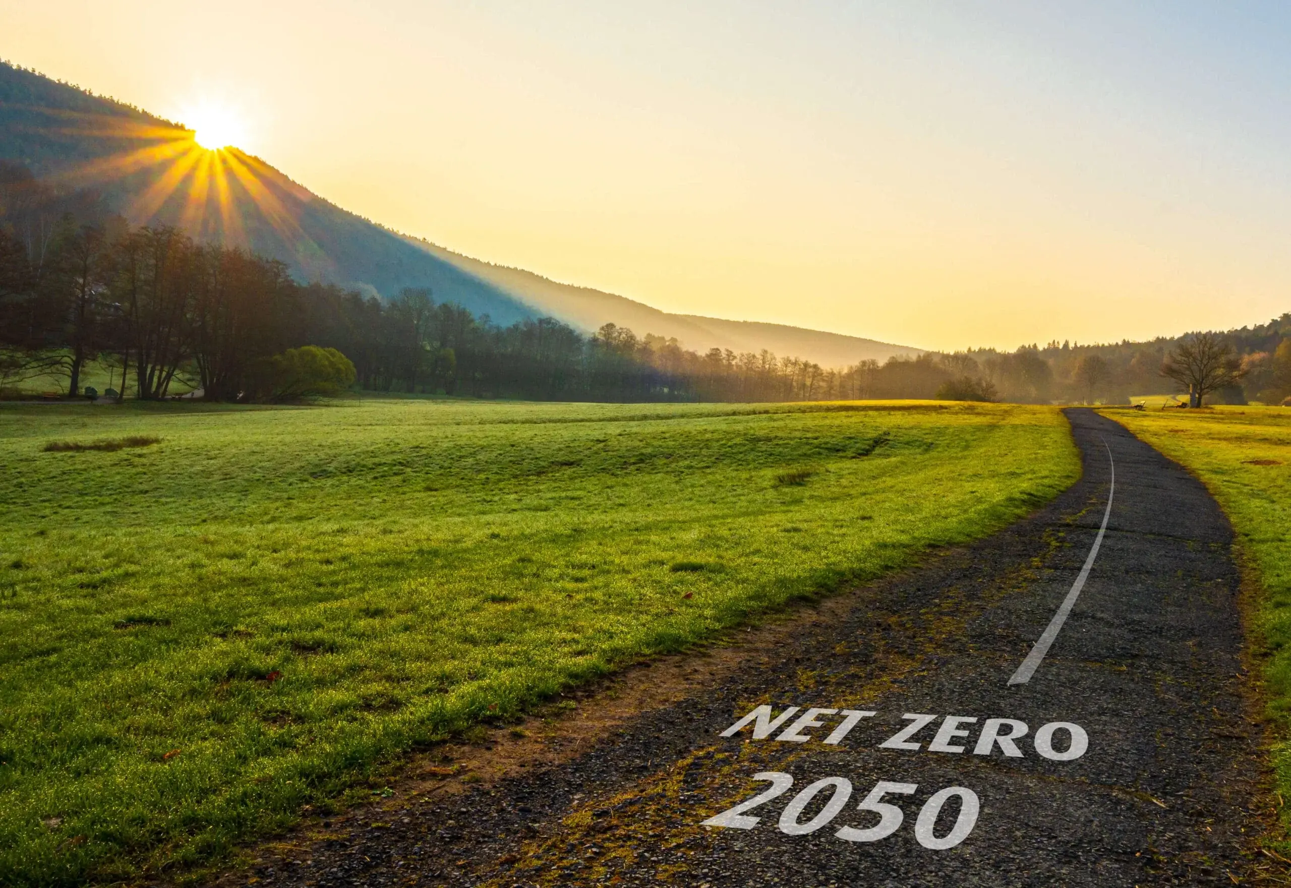 Footprinting & Decarbonisation | Indian Corporates