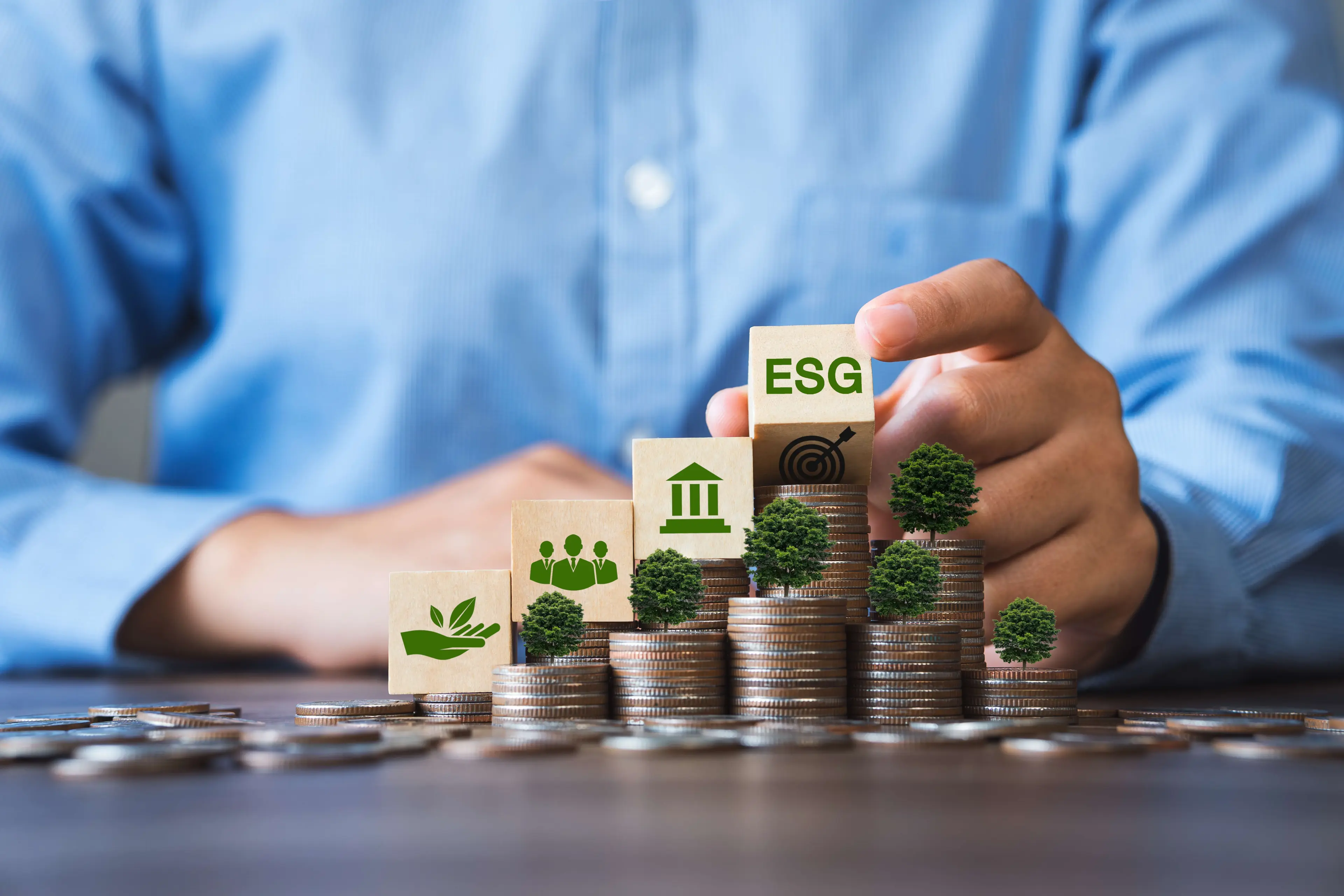 ESG Risk Assessment | BFSI Sector